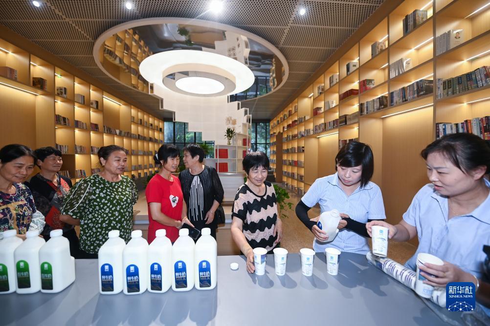 新博狗网